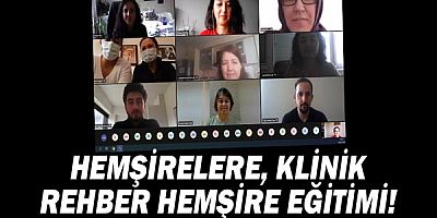 Hemşirelere Klinik Rehber Hemşire Eğitimi