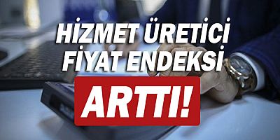 Hizmet üretici fiyat endeksi arttı!