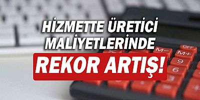 Hizmet Üretici Fiyat Endeksi aylık ve yıllık bazda arttı!