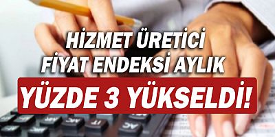 Hizmet üretici fiyat endeksi kasımda yüzde 3 arttı!