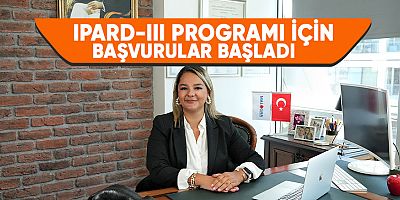  İşletmeler 500.000 Euro’ya kadar hibe alabilecek