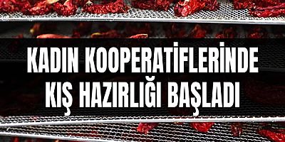 Kadın kooperatiflerinde kış hazırlığı başladı