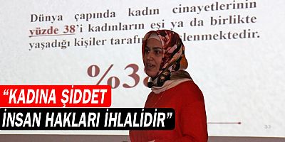 Kadına şiddet insan hakları ihlalidir