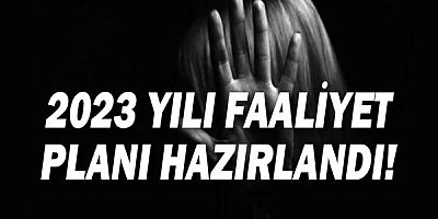 Kadına yönelik şiddetle mücadele veri bankası oluşturulacak