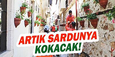 Kaleiçi sokakları sardunya kokacak 