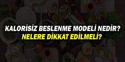 Kalorisiz Beslenme Modeli Nedir? Nelere Dikkat Edilmeli? 