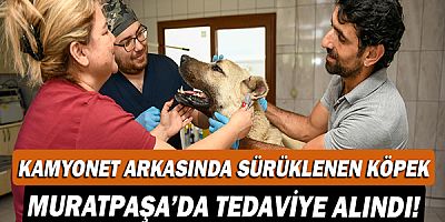 Kamyonet arkasında sürüklenen köpek Muratpaşa’da tedaviye alındı!