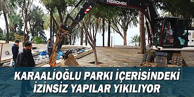 Karaalioğlu Parkı içerisindeki izinsiz yapılar yıkılıyor