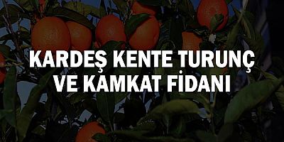 Kardeş kente turunç ve kamkat fidanı