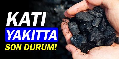 Katı yakıt verileri