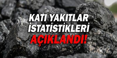 Katı yakıtlar istatistikleri açıklandı!