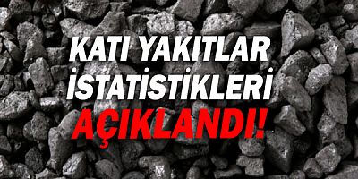 Katı yakıtlar istatistikleri açıklandı!