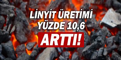 Katı yakıtlar istatistikleri açıklandı!
