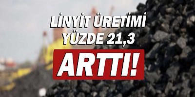 Katı yakıtlar istatistikleri açıklandı!