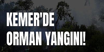 Kemer'de orman yangını!