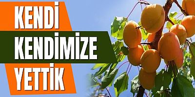 Kendi Kendimize Yettik