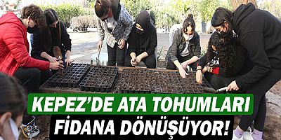 Kepez’de Ata tohumları fidana dönüşüyor!