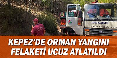 Kepez’de orman yangını felaketi ucuz atlatıldı