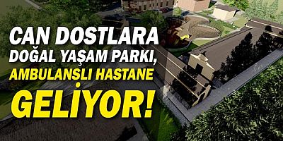 Kepez’den hayvanlara hastane ve doğal yaşam parkı 