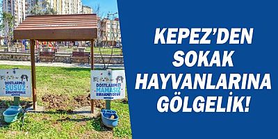 Kepez'den Sokak hayvanlarına gölgelik