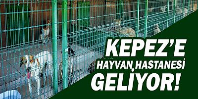 Kepez'e hayvan hastanesi geliyor!