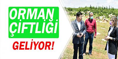Kepez’e müjde ‘Orman çiftliği’ geliyor!