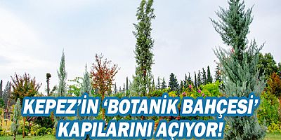 Kepez’in ‘Botanik Bahçesi’ kapılarını açıyor!