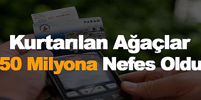 Kesilmekten kurtarılan ağaçlar 50 milyon 289 bin 466 kişiye nefes oldu