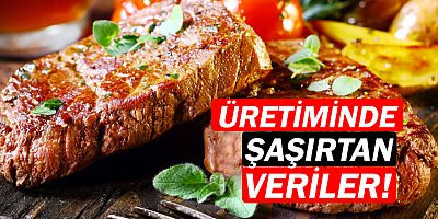 Kırmızı et üretimi