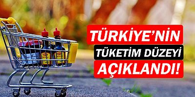 Kişi başına fiili bireysel tüketim düzeyi