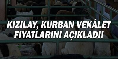 Kızılay Kurban Vekâlet Fiyatlarını Açıkladı!
