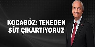 Kocagöz: Tekeden süt çıkartıyoruz
