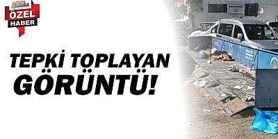 Konteynerların bu görüntüsü tepki topladı!