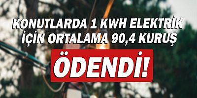 Konutlarda 1 kWh elektrik için II. dönemde ortalama 90,4 kuruş ödendi!