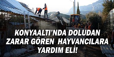 Konyaaltı’nda doludan zarar gören hayvancılara Büyükşehir’den yardım!