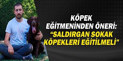 Köpek eğitmeninden sokak köpekleri için öneri: “Saldırgan sokak köpekleri eğitilmeli”