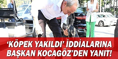 ‘Köpek yakıldı’ iddialarına Başkan Kocagöz son noktayı koydu.