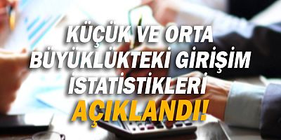 Küçük ve orta büyüklükteki girişim istatistikleri açıklandı!
