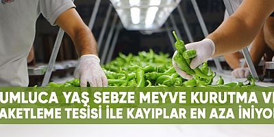 Kumluca Yaş Sebze Meyve Kurutma ve  Paketleme Tesisi ile kayıplar en aza iniyor.