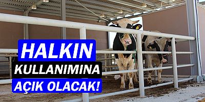 Kurban Bayramında ilçelere önemli hizmet...