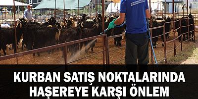 Kurban Satış Noktalarında Haşereye Karşı Önlem