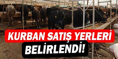 Kurban satış yerleri belirlendi!