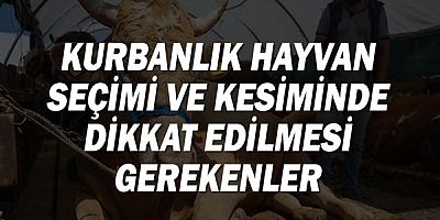 Kurbanlık Hayvan Seçimi ve Kesiminde Dikkat Edilmesi Gerekenler