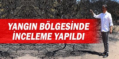 Lara'daki yangının ardından bölge incelendi.