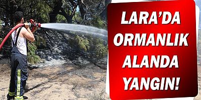 Lara ormanındaki yangın söndürüldü!