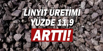 Linyit üretimi yüzde 11,9 arttı!