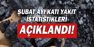 Linyit üretimi yüzde 15,7 arttı!