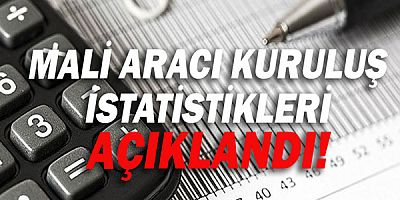Mali Aracı Kuruluş istatistikleri açıklandı!