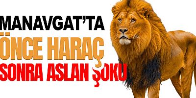 Manavgat’ta Aslan Dehşeti: Tarla Sulayan Çiftçiye Saldırdı