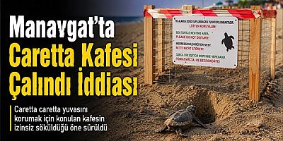Manavgat'ta Caretta Kafesi Çalındı İddiası